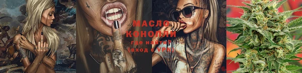 МДПВ Пересвет