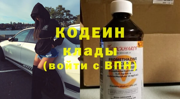 МДПВ Пересвет