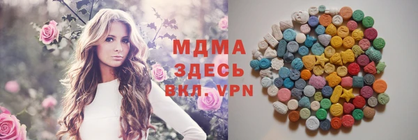 МДПВ Пересвет
