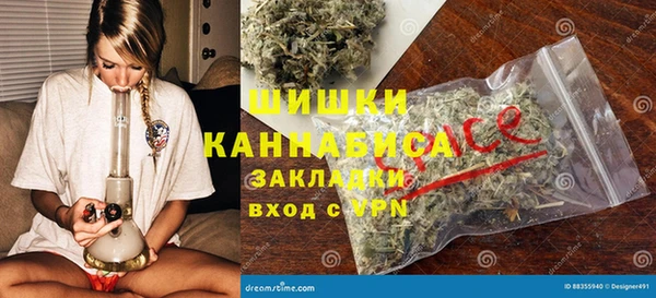МДПВ Пересвет