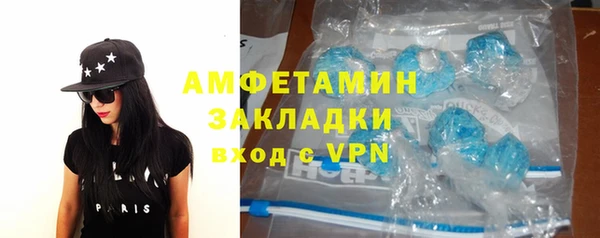 МДПВ Пересвет