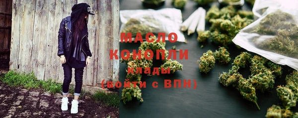 МДПВ Пересвет