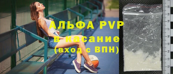 МДПВ Пересвет