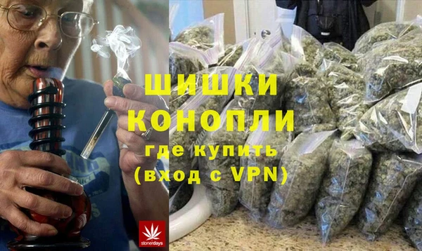 МДПВ Пересвет