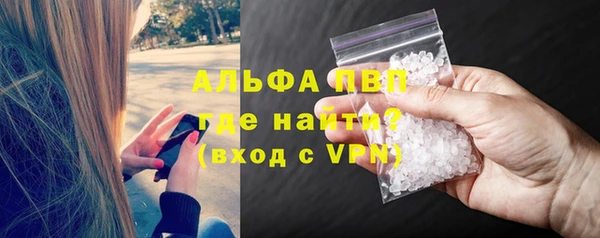 МДПВ Пересвет